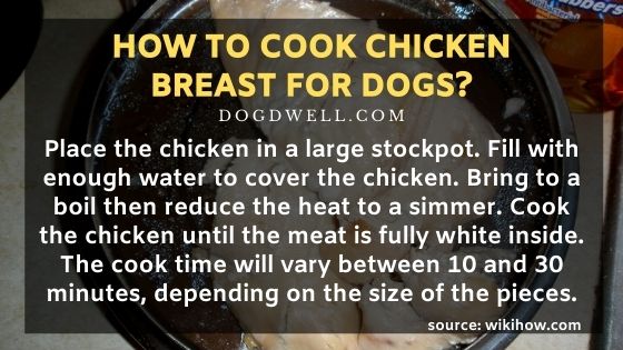 boiled white meat chicken for dogs